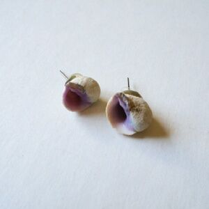 Seashell earrings